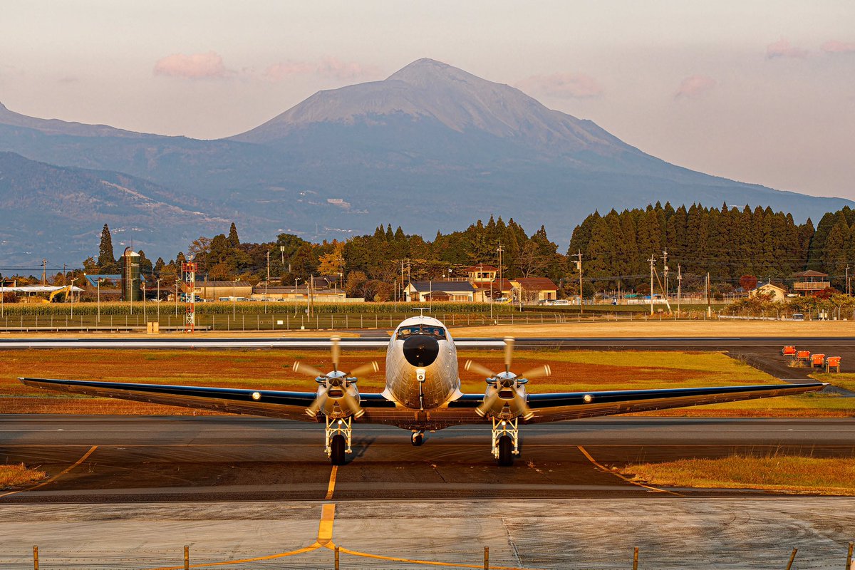 でち公 tweet media