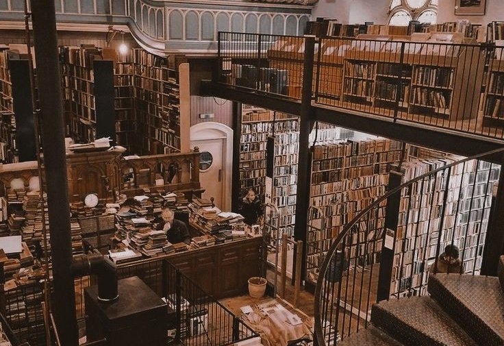 AcademiaDreams's tweet photo. bookstores are for the soul https://t.co/cIroszsbMx