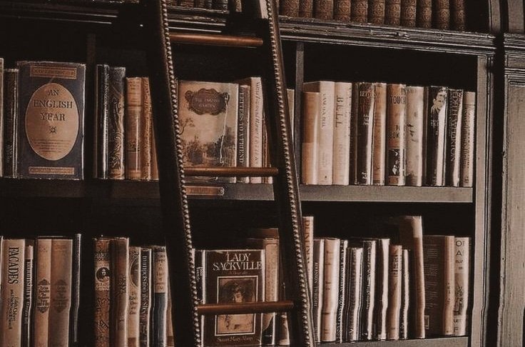AcademiaDreams's tweet photo. bookstores are for the soul https://t.co/cIroszsbMx