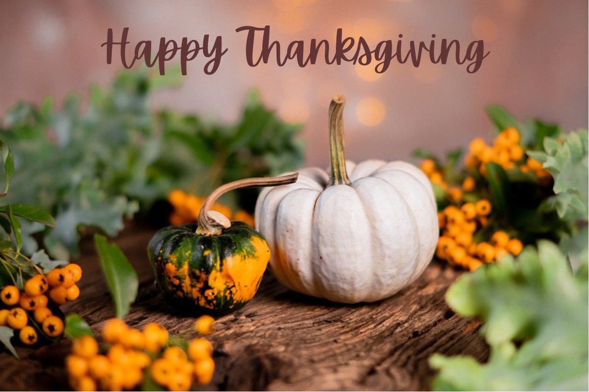 ItalyatNATO's tweet photo. Best wishes for a very happy #Thanksgiving to our 🇺🇸 friends &amp; #Allies !

#WeAreNATO
#NousSommesLOtan
#StrongerTogether https://t.co/GkPmCdRZNJ