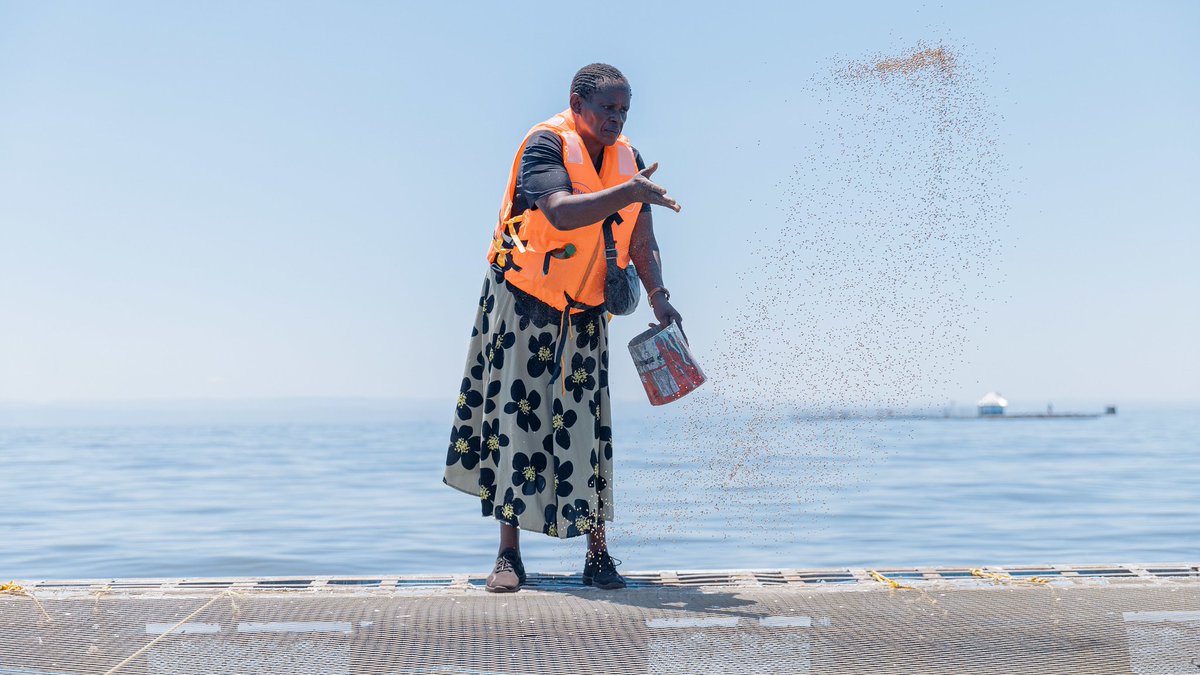 Acumen has invested in <a href="/AquarechLtd/">Aquarech Ltd.</a>, a Kenyan fish farming startup, alongside <a href="/AquaSparkImpact/">Aqua-Spark</a>, <a href="/katapultimpact/">Katapult Impact</a>, and Mercy Corps Ventures.

This investment will propel Aquarech's mission to empower small-scale farmers and drive sustainability in the aquaculture sector.