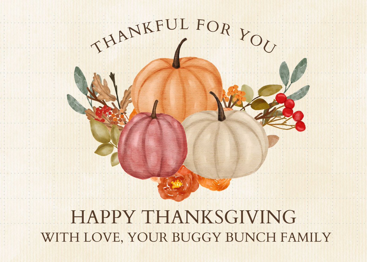 TheBuggyBunch's tweet photo. From all of us at The Buggy Bunch, Happy Thanksgiving! Your generosity is the cornerstone of our gratitude, and we are profoundly blessed to have you by our side. 🍁🧡 #ThanksgivingGratitude #CommunitySupport #TheBuggyBunchFamily https://t.co/NSbUZoLBj3