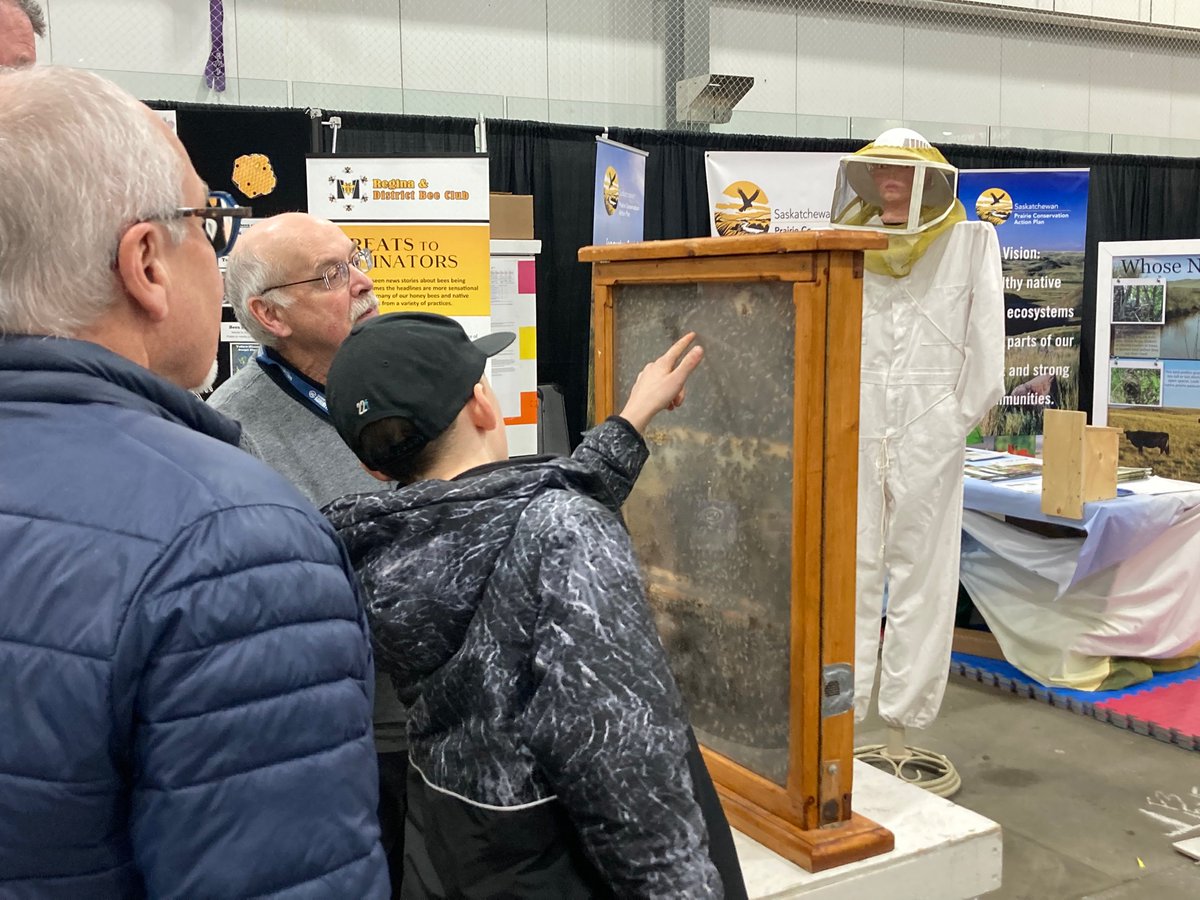 SundanceFarms's tweet photo. Learning about farm animals and crops @Agribition in #Regina #Sask #AgriEd #fun #LotsToSee at the north Cooperative rink location. https://t.co/RKNDeC7ZeW
