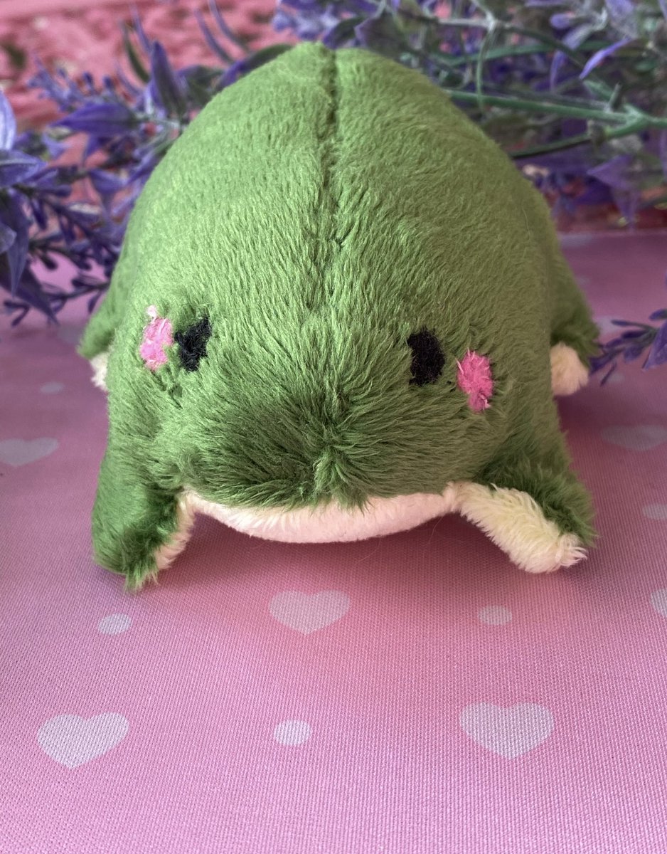 practickalmagi1's tweet photo. 💚🍃Froggie plush🍃💚
🍃Use code “PINK” for 35% off! 🍃 https://t.co/RLCBQQSUiM