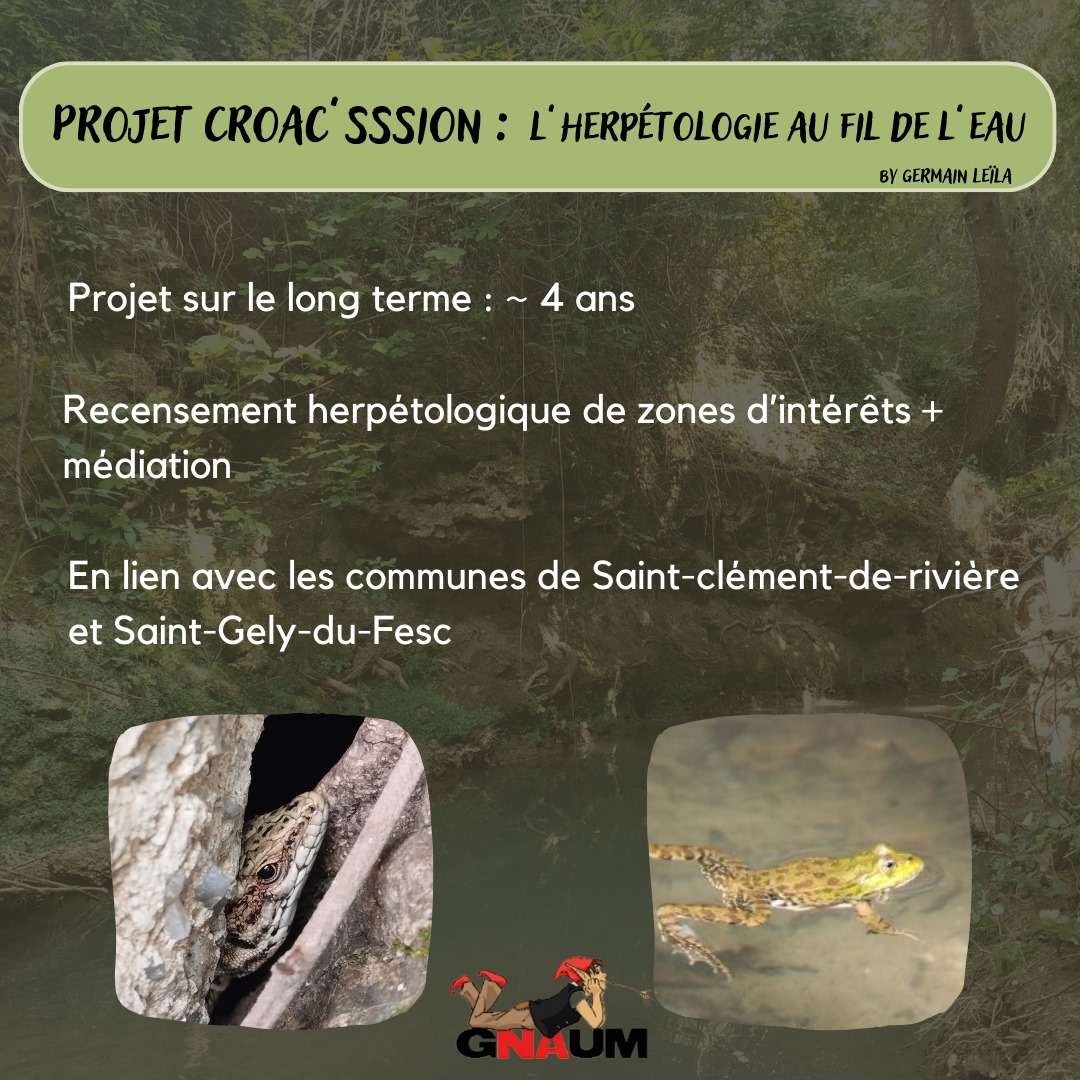 assognaum's tweet photo. Bonjour !
Nous sommes heureux-ses de vous présenter un nouveau projet porté par Leïla au sein du pôle herpétologique !  

#herpetologie #naturaliste #amphibiens #reptiles #biodiversite #Montpellier https://t.co/8QFKqSIw4v