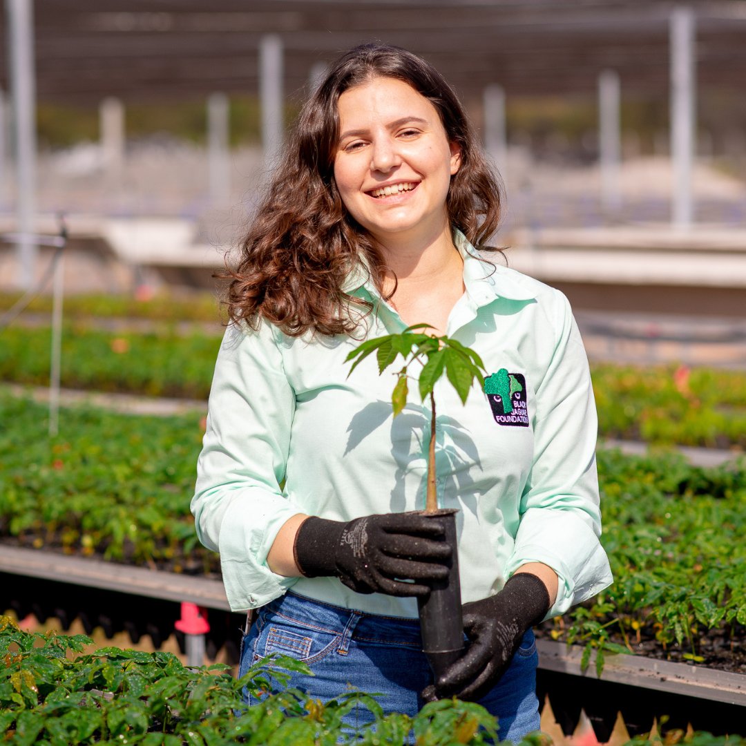 It's almost that time of year again! The festive season is almost upon us – let's celebrate together?! 🎉 Donate trees: black-jaguar.org/donate-tree/