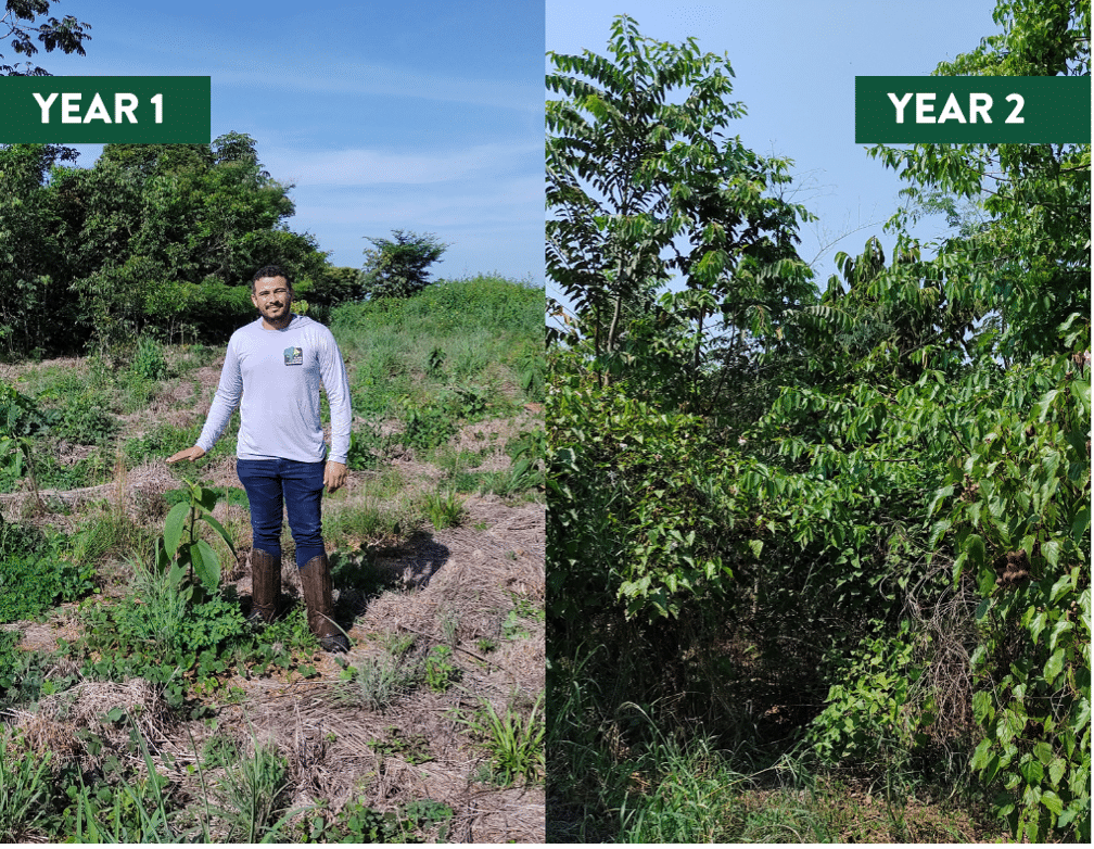 You have a new option to support the Araguaia Biodiversity Corridor: our Donate Any Amount page: black-jaguar.org/donate-any-amo…