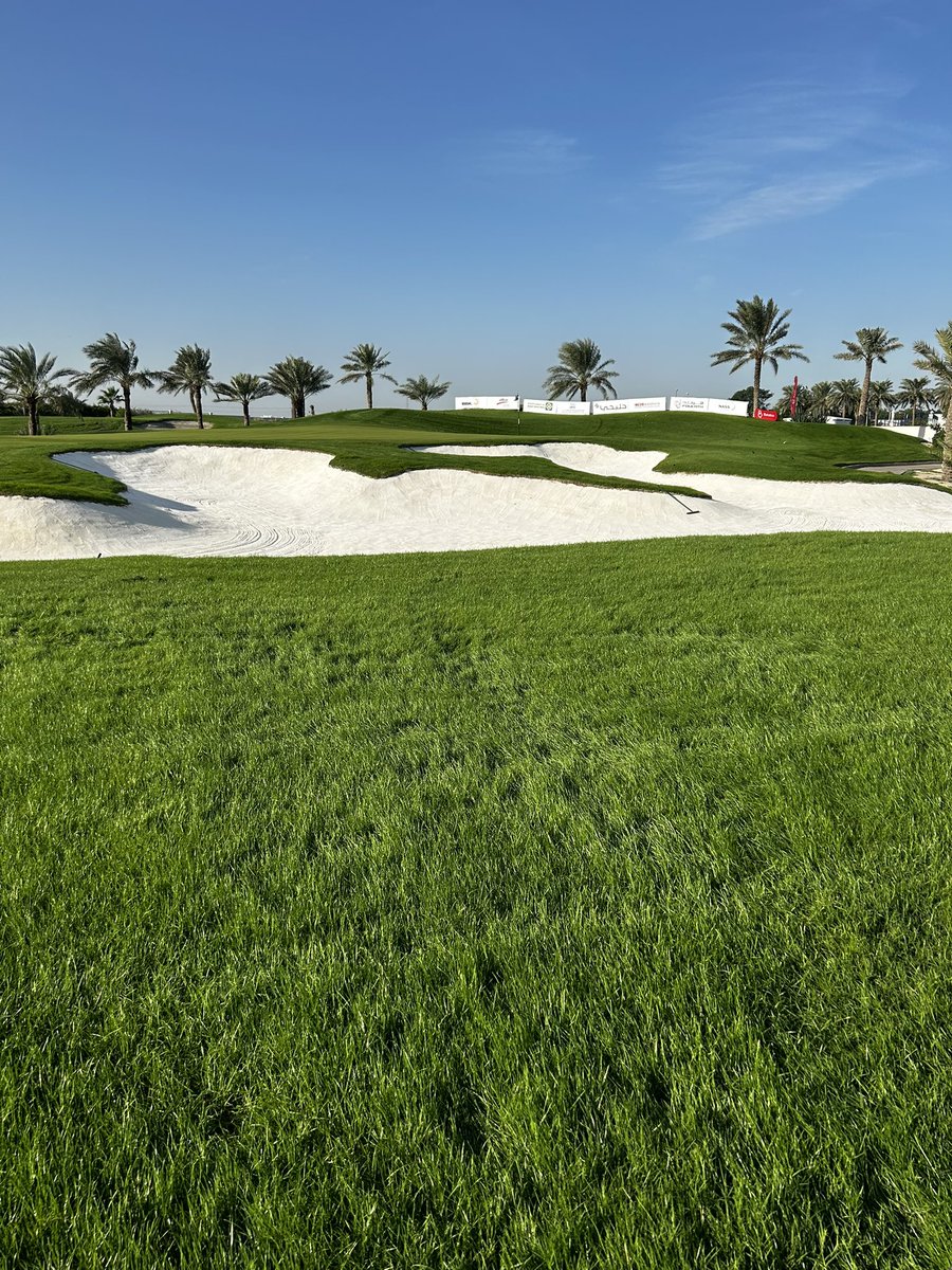 Jamie Faulkner tweet media