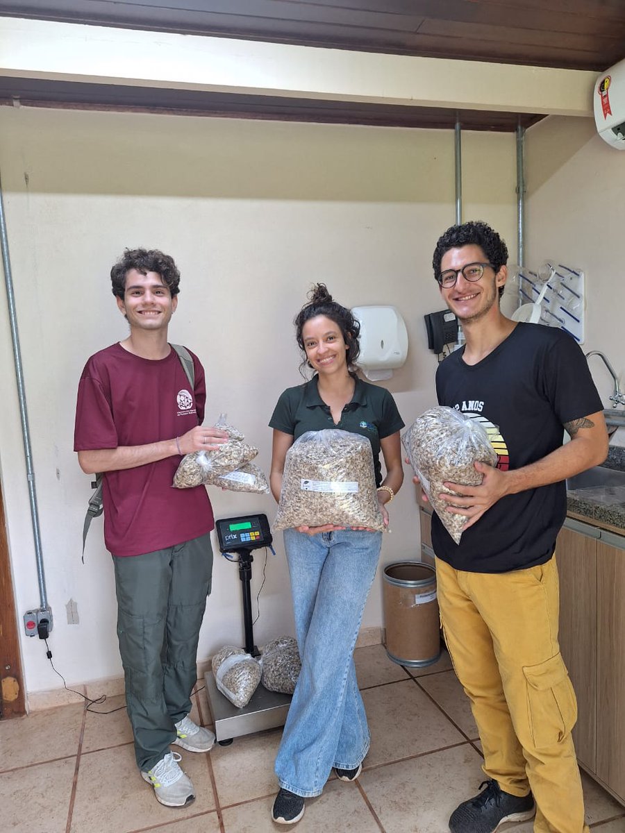 Araguaia Seed Network carries out first sale of seeds to external buyers 🌱 Not only are they making the difference for Black Jaguar Foundation, they are also showing their entrepreneurial abilities by selling to others. 💚