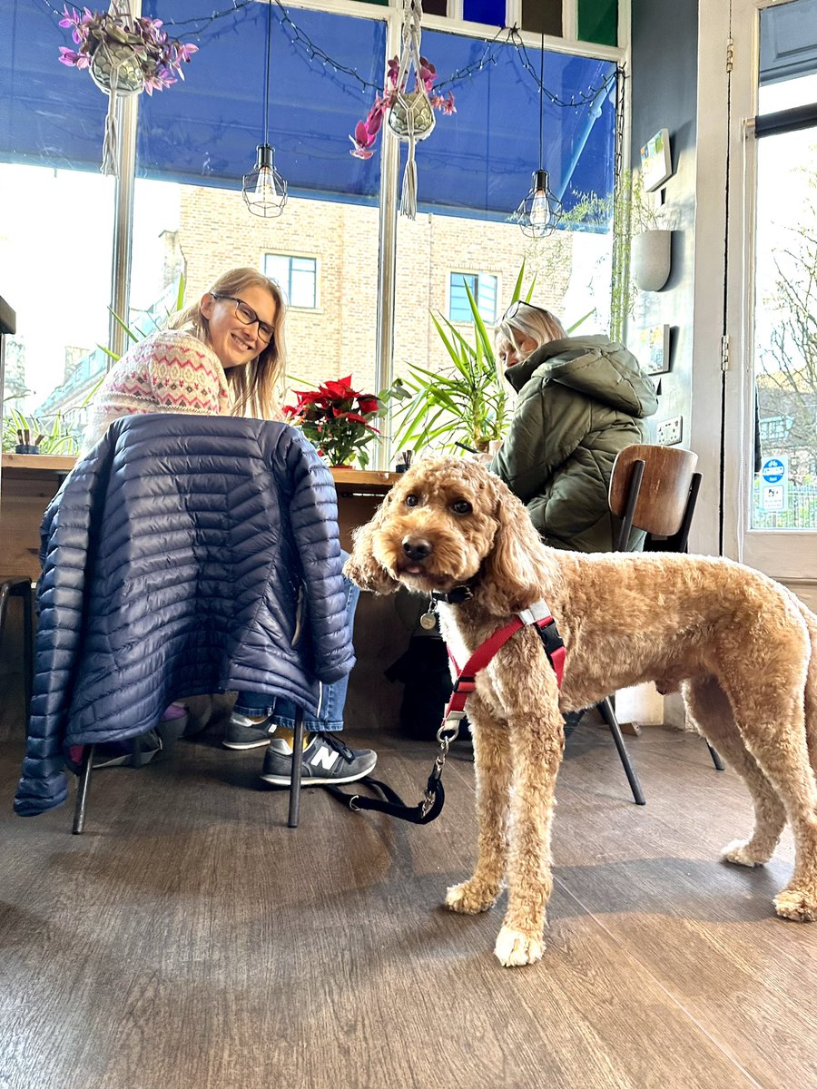 “Is my chicken ready yet?” 🐶