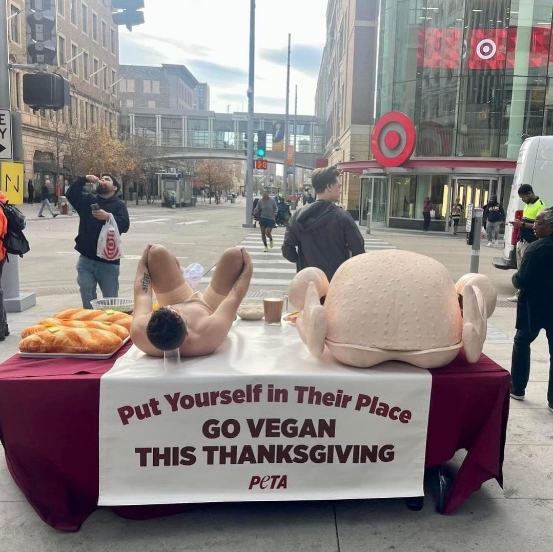 ImBillRay's tweet image. PETA really said stuff a twink not a turkey