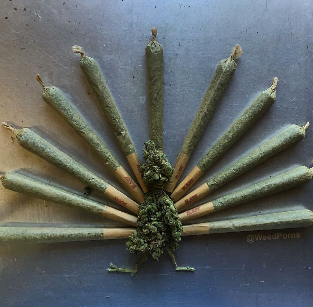 WeedPorns's tweet image. Happy Danksgiving! 💨