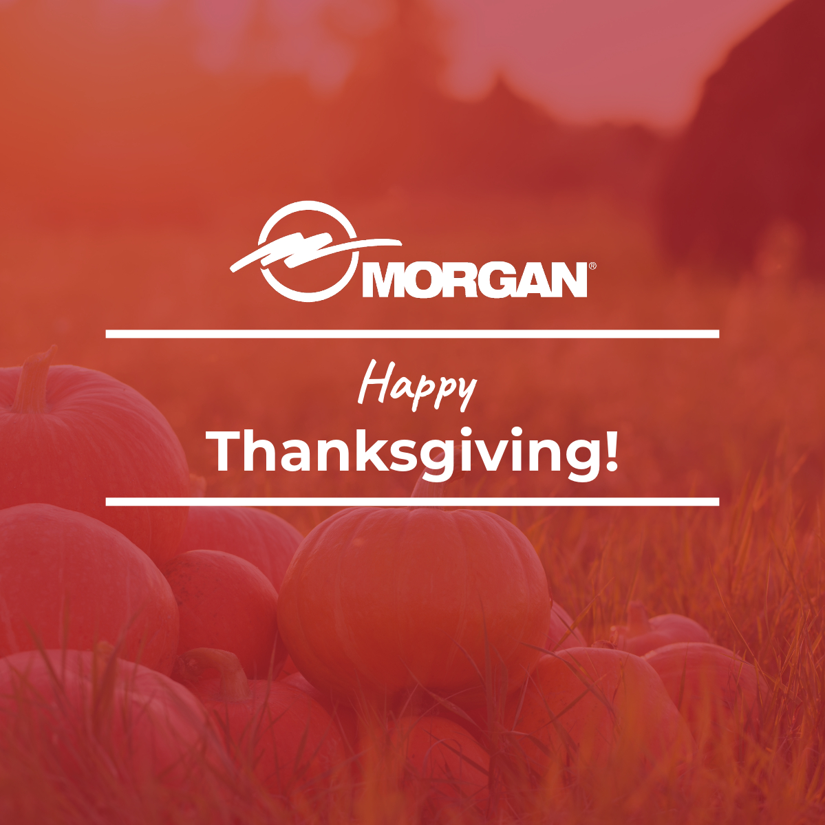 Morgan_Engineer's tweet photo. Happy Thanksgiving! Morgan is grateful for everything our employees have helped us accomplish this year. Here is to a wonderful holiday season!

 #cranes #steel #steelindustry #morganengineering https://t.co/xdqmDJwoiR