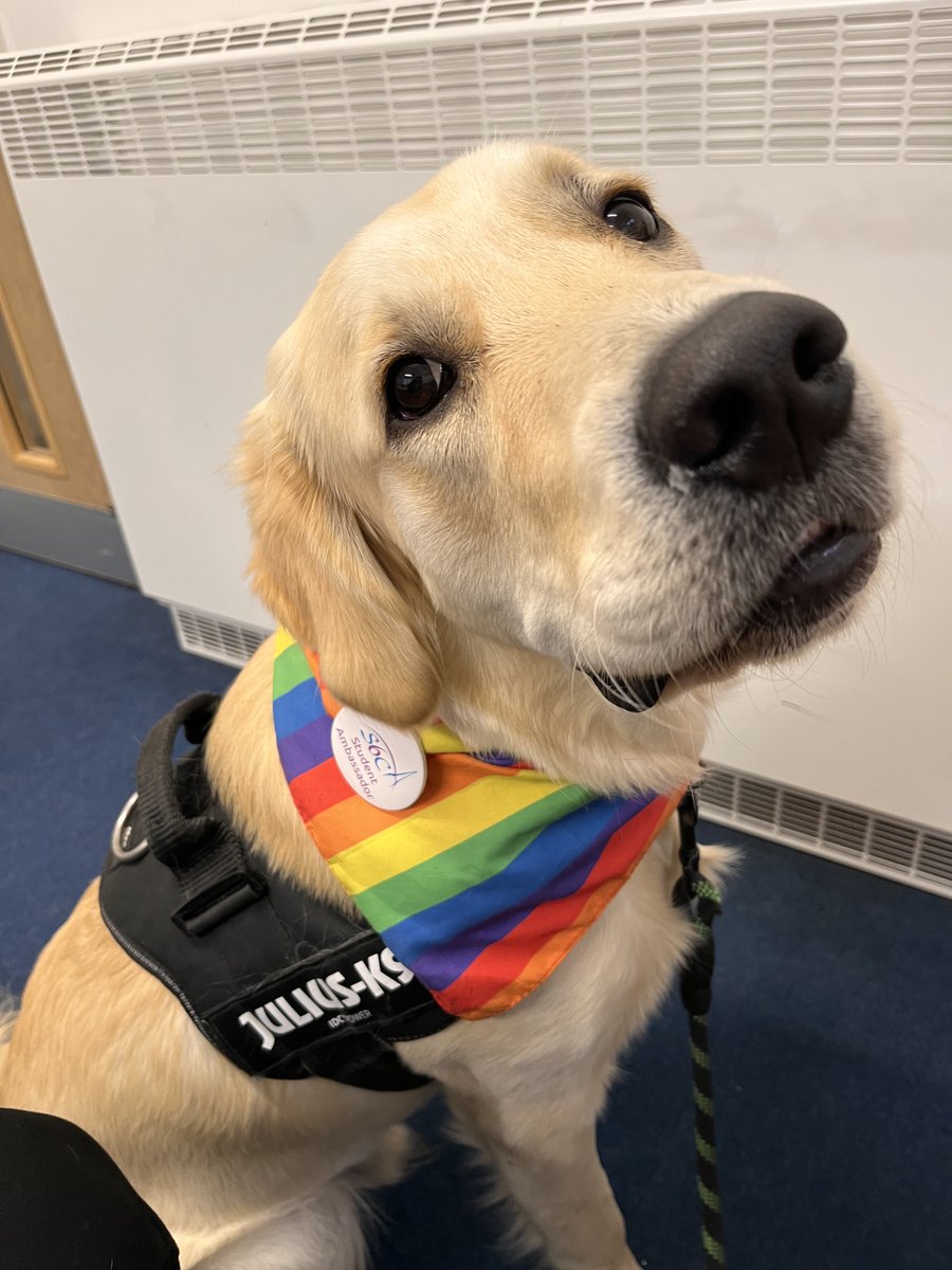 Salisbury 6th Form College (S6C) tweet media