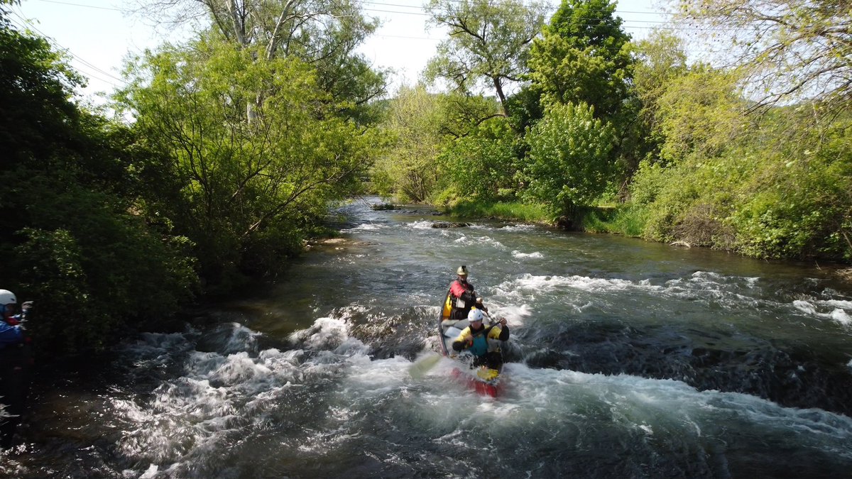 Sean Purcell tweet media