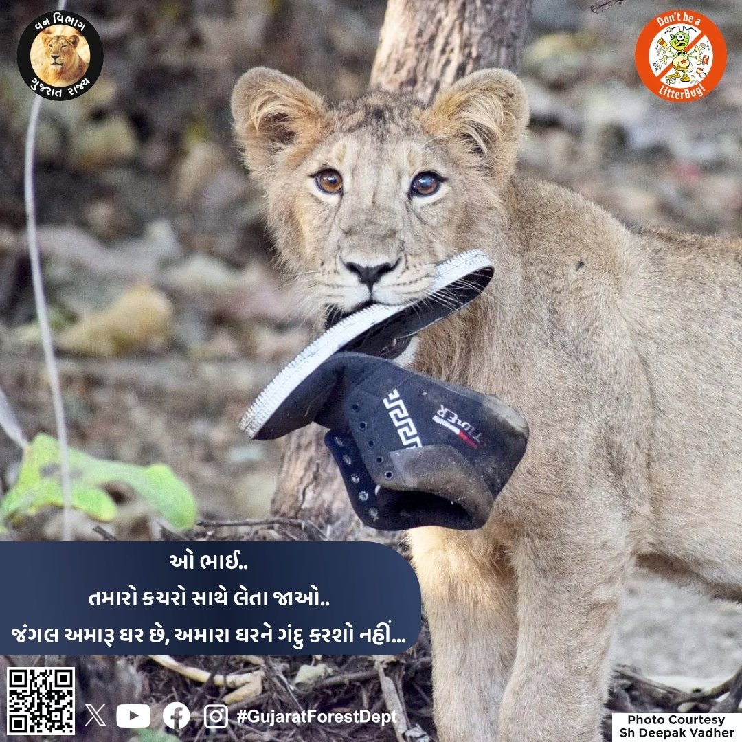 GujaratForestDept (@gujforestdept) on Twitter photo เชเชฟเชฐเชจเชพเชฐ เชฒเซเชฒเซ เชชเชฐเชฟเชเซเชฐเชฎเชพเชจเซ เชเชพเชฐเชคเช เชธเซเชฆ-เช
เชเชฟเชฏเชพเชฐเชธเชฅเซ เชเชเชฒเซ เชเชเชฅเซ เชชเซเชฐเชพเชฐเชเชญ เชฅเชตเชพ เชเช เชฐเชนเซเชฏเซ เชเซ. เชคเซเชฏเชพเชฐเซ เชฒเชพเชเซเชจเซ เชธเชเชเซเชฏเชพเชฎเชพเช เชชเชฐเชฟเชเซเชฐเชฎเชพ เชเชฐเชตเชพ เชเชตเชคเชพ เชฏเชพเชคเซเชฐเชพเชณเซเชเชจเซ เชตเชจ เชตเชฟเชญเชพเช เชคเชฐเชซเชฅเซ เชตเชฟเชจเชเชคเซ เชเซ เชเซ,...
- เชเชเชเชฒ เชฎเชพเช เชชเซเชฒเชพเชธเซเชเชฟเชเชจเซ เชเชเชฐเซ เชจ เชซเซเชเชเชถเซ
- เชกเชฟเชเชฐเซเชเชจเซเช เชเซ เชธเชพเชฌเซเชจเซ เชเชชเชฏเซเช เชเชฐเซ เชเชณ เชธเซเชคเซเชฐเซเชค เชชเซเชฐเชฆเซเชทเชฟเชค เชจ เชเชฐเชถเซ.
- เชกเซเชเชเชฐเชพเชณ เชเชฟเชฐเชจเชพเชฐ เชฒเซเชฒเซ เชชเชฐเชฟเชเซเชฐเชฎเชพเชจเซ เชเชพเชฐเชคเช เชธเซเชฆ-เช
เชเชฟเชฏเชพเชฐเชธเชฅเซ เชเชเชฒเซ เชเชเชฅเซ เชชเซเชฐเชพเชฐเชเชญ เชฅเชตเชพ เชเช เชฐเชนเซเชฏเซ เชเซ. เชคเซเชฏเชพเชฐเซ เชฒเชพเชเซเชจเซ เชธเชเชเซเชฏเชพเชฎเชพเช เชชเชฐเชฟเชเซเชฐเชฎเชพ เชเชฐเชตเชพ เชเชตเชคเชพ เชฏเชพเชคเซเชฐเชพเชณเซเชเชจเซ เชตเชจ เชตเชฟเชญเชพเช เชคเชฐเชซเชฅเซ เชตเชฟเชจเชเชคเซ เชเซ เชเซ,...
- เชเชเชเชฒ เชฎเชพเช เชชเซเชฒเชพเชธเซเชเชฟเชเชจเซ เชเชเชฐเซ เชจ เชซเซเชเชเชถเซ
- เชกเชฟเชเชฐเซเชเชจเซเช เชเซ เชธเชพเชฌเซเชจเซ เชเชชเชฏเซเช เชเชฐเซ เชเชณ เชธเซเชคเซเชฐเซเชค เชชเซเชฐเชฆเซเชทเชฟเชค เชจ เชเชฐเชถเซ.
- เชกเซเชเชเชฐเชพเชณ