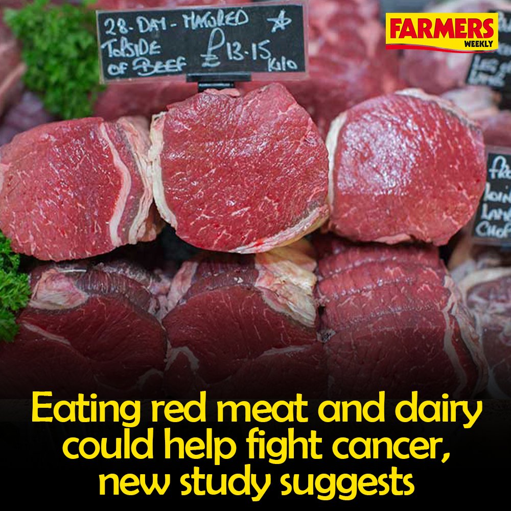 🥩 A study by scientists has suggested eating red meat and dairy could help fight cancer. Prof Jing Chen: 'By focusing on nutrients that can activate T cell [immune] responses, we found one that actually enhances anti-tumour immunity by activating an important immune pathway.’