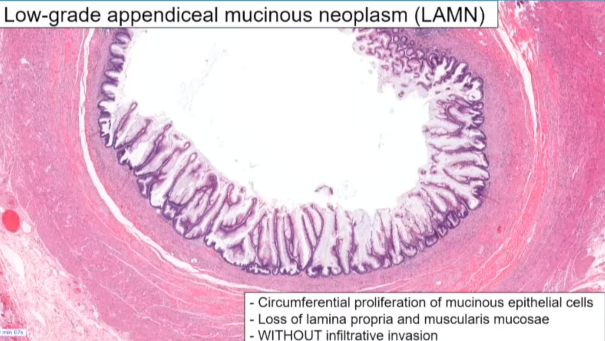 Janira Navarro tweet media