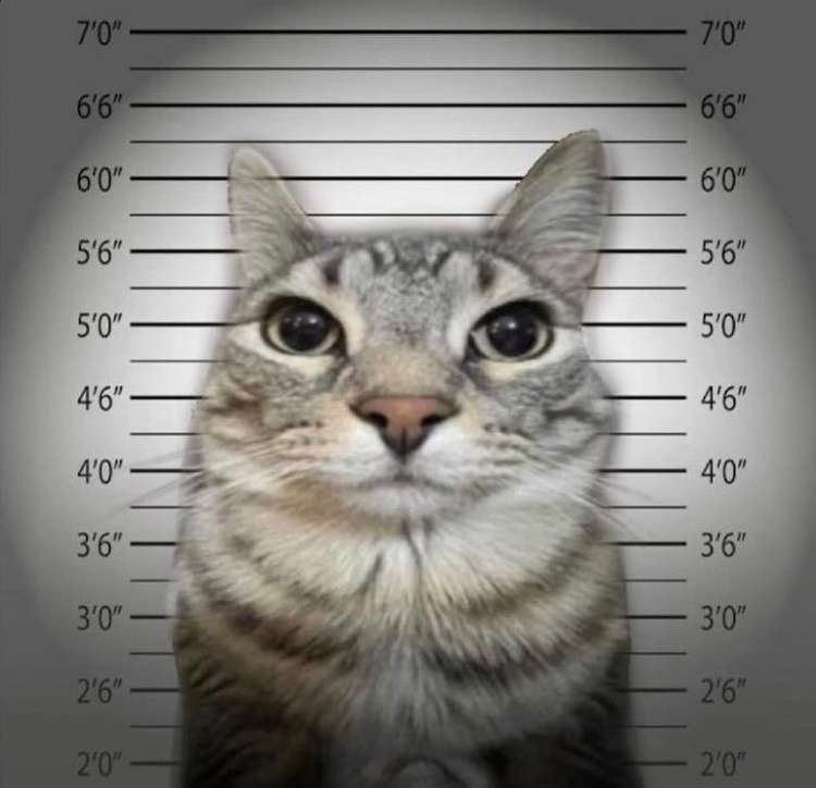 l̶i̶m̶i̶t̶ ̶d̶r̶a̶k̶ tweet media