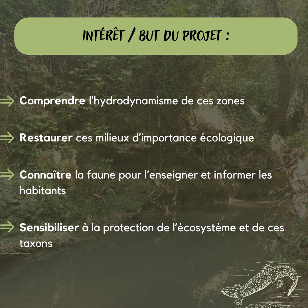 assognaum's tweet photo. Bonjour !
Nous sommes heureux-ses de vous présenter un nouveau projet porté par Leïla au sein du pôle herpétologique !  

#herpetologie #naturaliste #amphibiens #reptiles #biodiversite #Montpellier https://t.co/8QFKqSIw4v