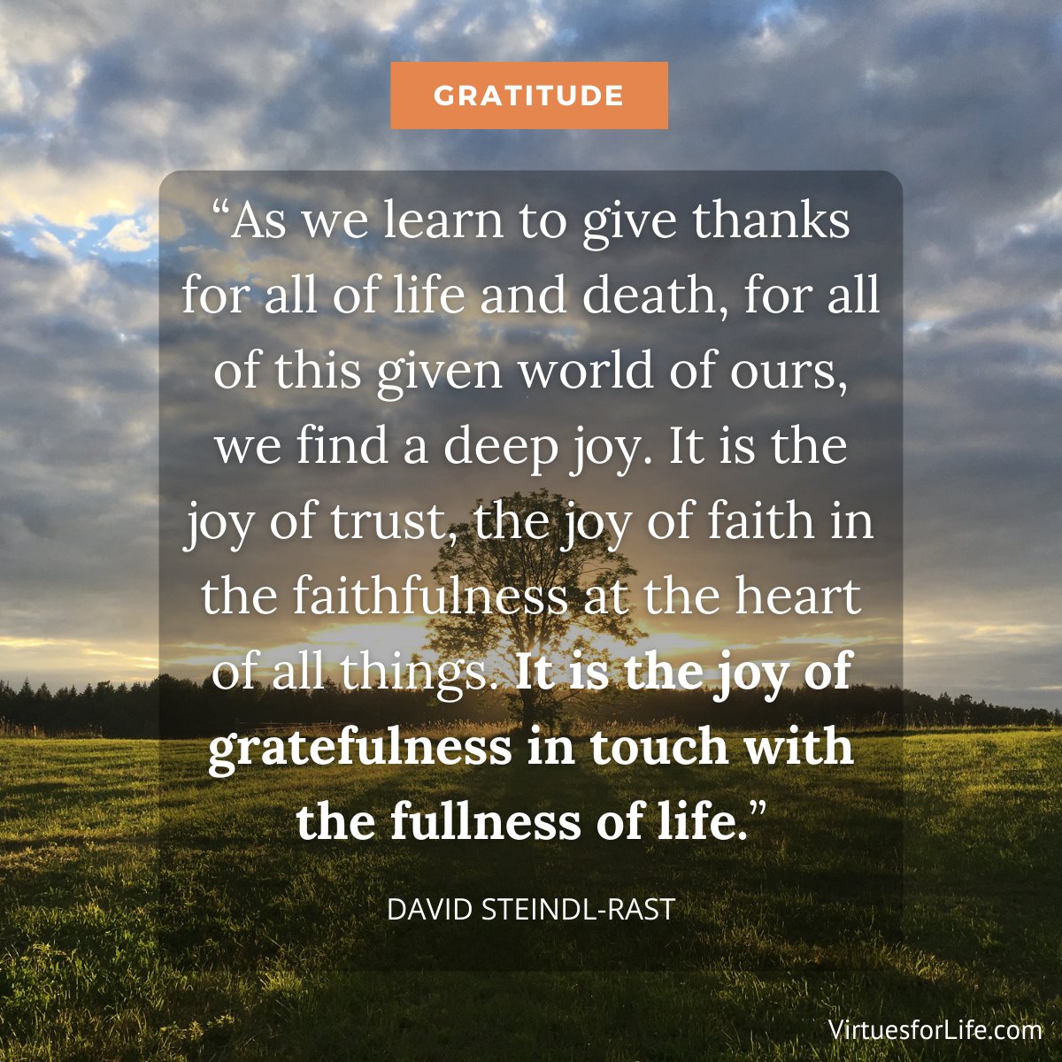 Happy Thanksgiving! David Steindl-Rast, a Benedictine monk, so beautifully said that the more grateful we are, the more joy we feel and the more we are in touch with the fullness of life. May gratitude, trust, faith, joy, and love fill your heart today and always.