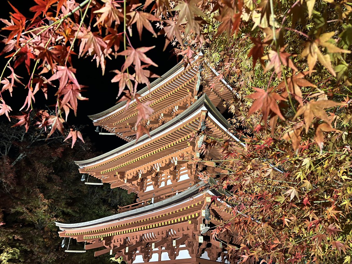 Xx_uraniwa_xX's tweet photo. 奈良〜岡本寺〜龍蓋寺〜岡寺
〜紅葉〜 https://t.co/BIUvUaIemT
