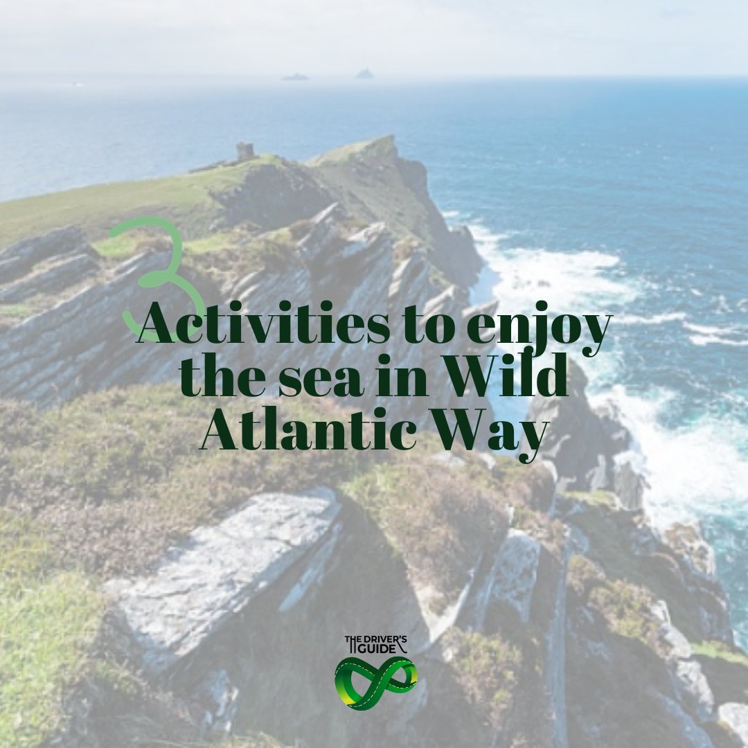 🌊We just wrapped up an incredible day #exploring the untamed #beauty of nature with Island View Riding Stables, #paddling through the mesmerising Atlantic #waters, and #diving into the fascinating world of oyster #farming. #ExploringIreland #WildAtlantic #DriversGuide