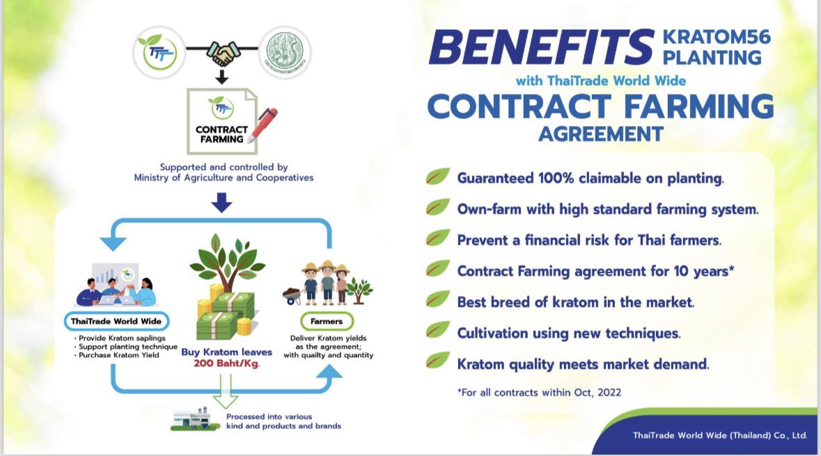 AmnardKit's tweet image. #KRATOM Thai thai
Kratom thai thai is fresh, green, GMP and ready to sale ….from farm to Table..
Kratom Leaves, kratom powder, kratom isolated as Spray dry etc.