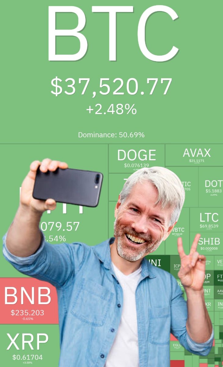 Panda 🐼 tweet media