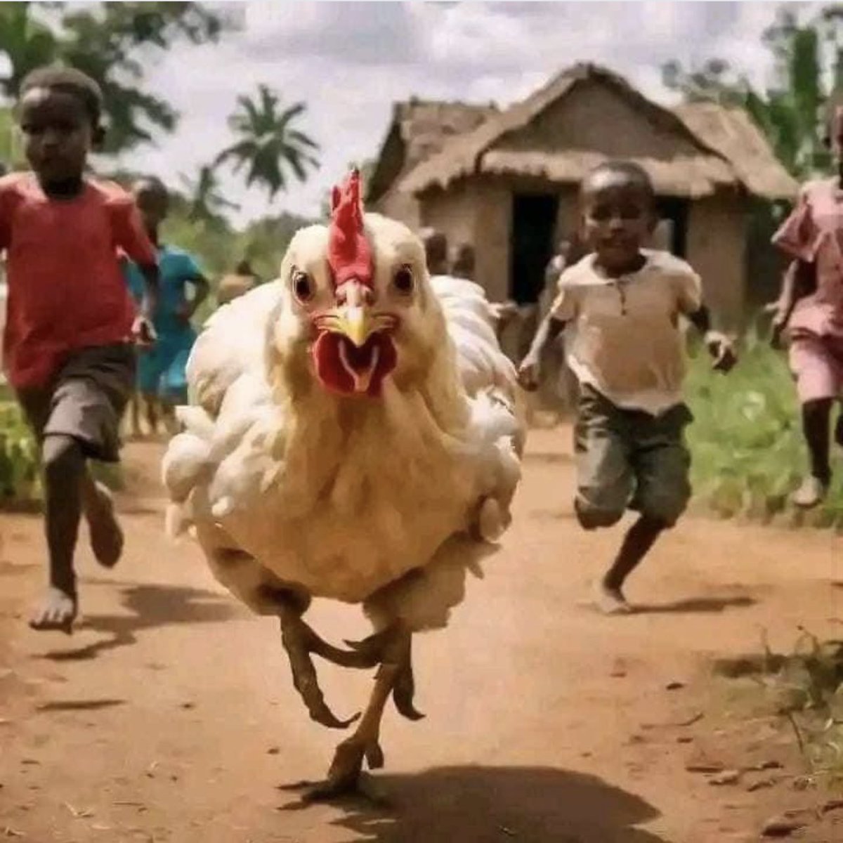EnyonamManye's tweet photo. Christmas 🎄 is getting nearer. Try and catch your fowls early before you start chasing them on the D day. 🤣🤣🤣🤣🤣🤣🤣

Repost this if you ever did it 🤣 https://t.co/EmsAFuAANc
