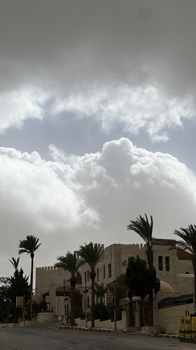 as_u14's tweet photo. ثِق بالذي أعطاكَ قلباً طيباً ، سَتطيبُ دُنيانا وتزدحم النِعم 🌱🍂 https://t.co/fFhHQBgfmQ