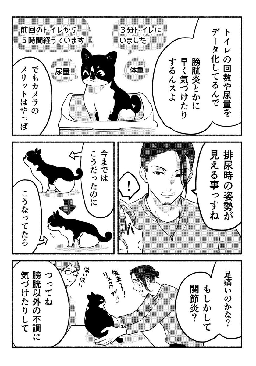 ねこちゃんトークに欠かせない話(2/2)