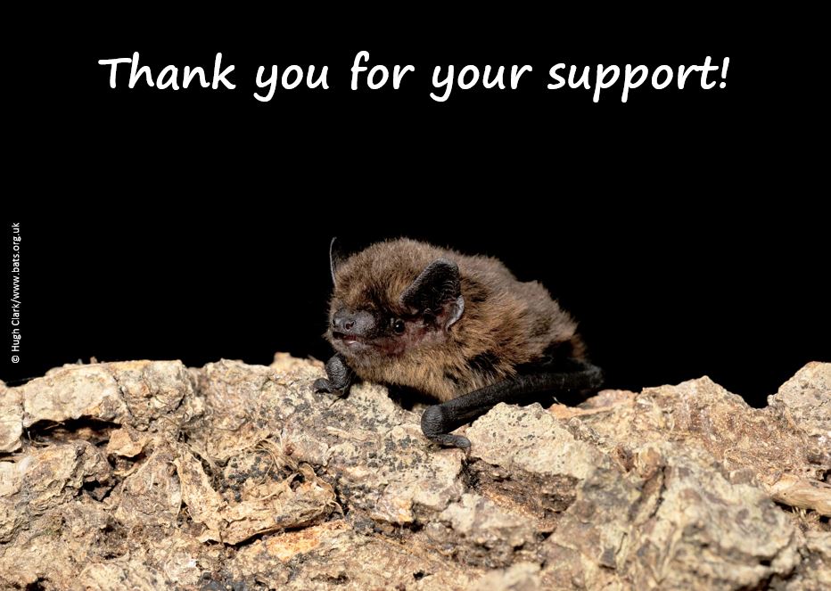 Please help us secure a much needed donation. All you have to do is nominate <a href="/_BCT_/">Bat Conservation Trust</a>  . It only takes a minute and the more nominations we get the more likely we are to receive a £1,000 donation! buff.ly/3ZHZ32X . Please share widely.
