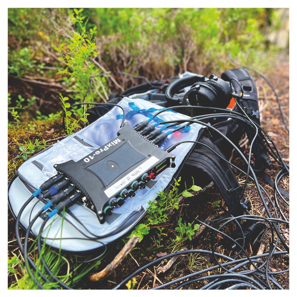 mindfidelity's tweet photo. In July 2023, we embarked on a 4-day recording trip to Scotland, specifically to the picturesque regions surrounding the Cairngorm National Park. This journey was dedicated to capturing the sounds of nature in areas of extraordinary beauty, with very little noise pollution. https://t.co/3EchtQoU00