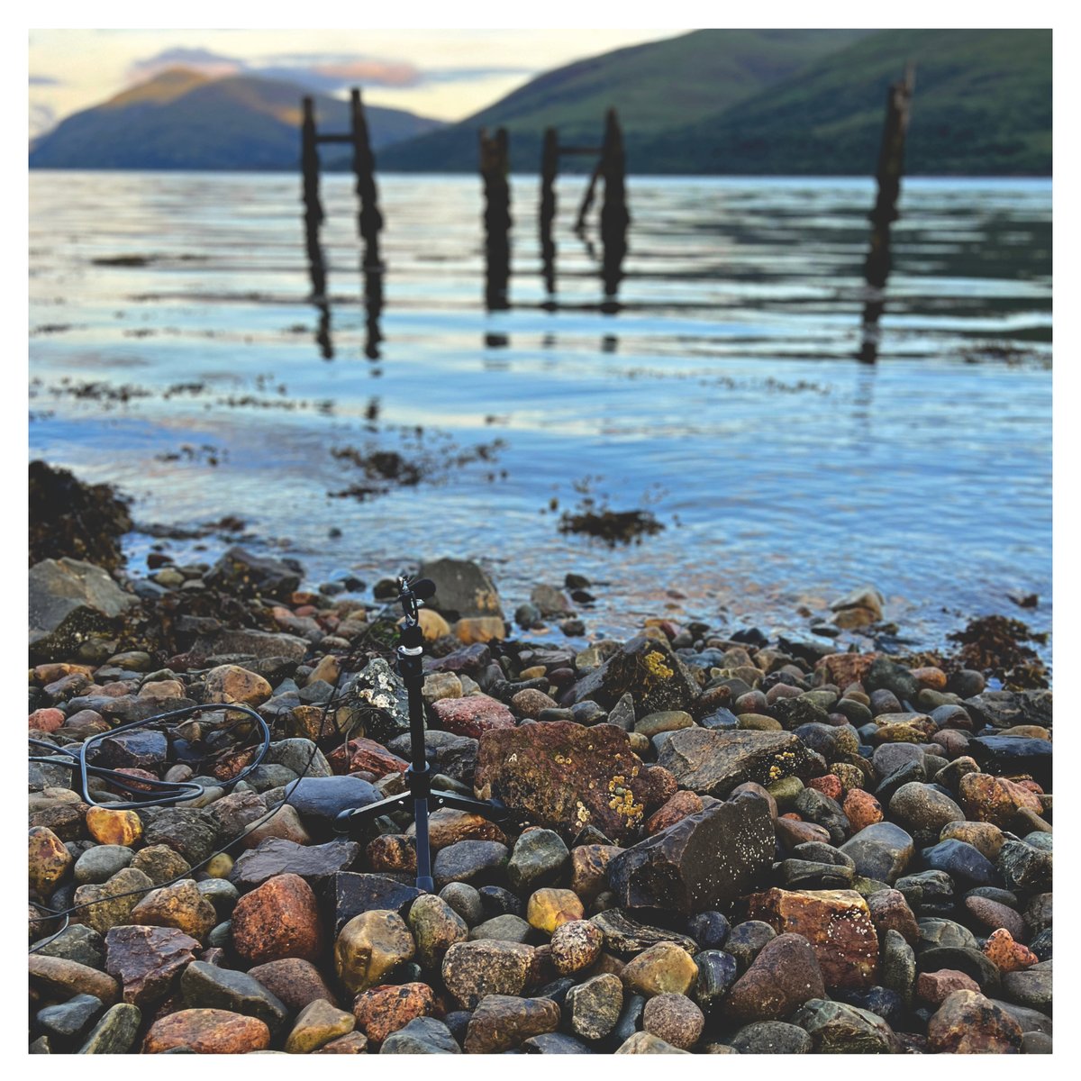 mindfidelity's tweet photo. In July 2023, we embarked on a 4-day recording trip to Scotland, specifically to the picturesque regions surrounding the Cairngorm National Park. This journey was dedicated to capturing the sounds of nature in areas of extraordinary beauty, with very little noise pollution. https://t.co/3EchtQoU00