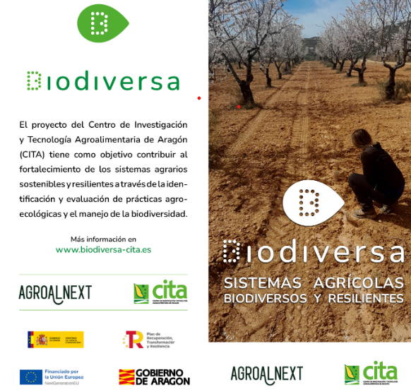 agropapers's tweet image. Folleto divulgativo en español del proyecto #BIODIVERSA #Agroalnext coordinado por @CITAAragon 
#citatransfiere @Aragoninvestiga 
🔗hdl.handle.net/10532/6753
