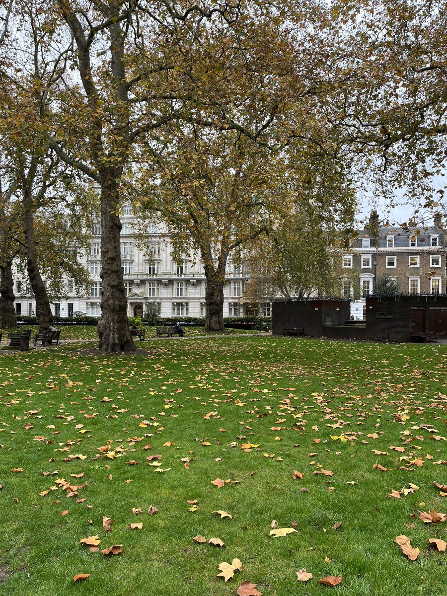 linda ewen tweet media