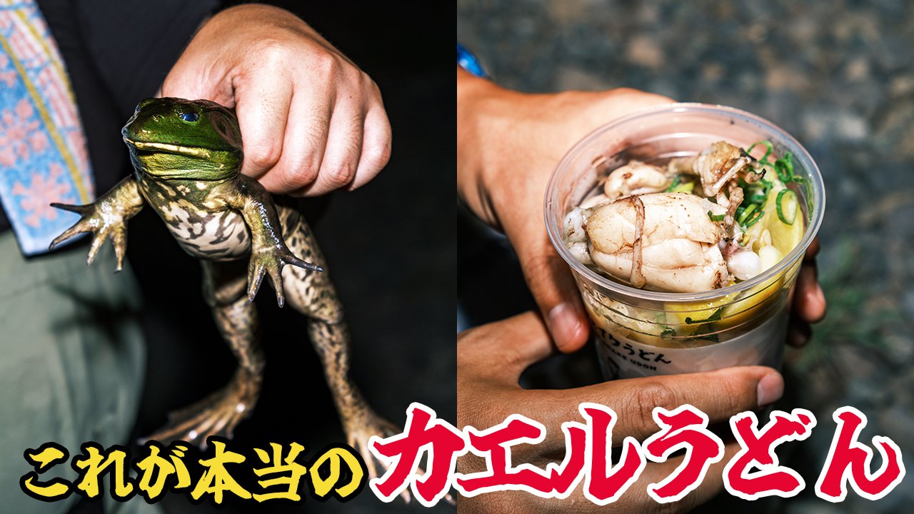 茸本 朗(たけもとあきら) 「野食ハンター茸本朗ch」公開中!! on X