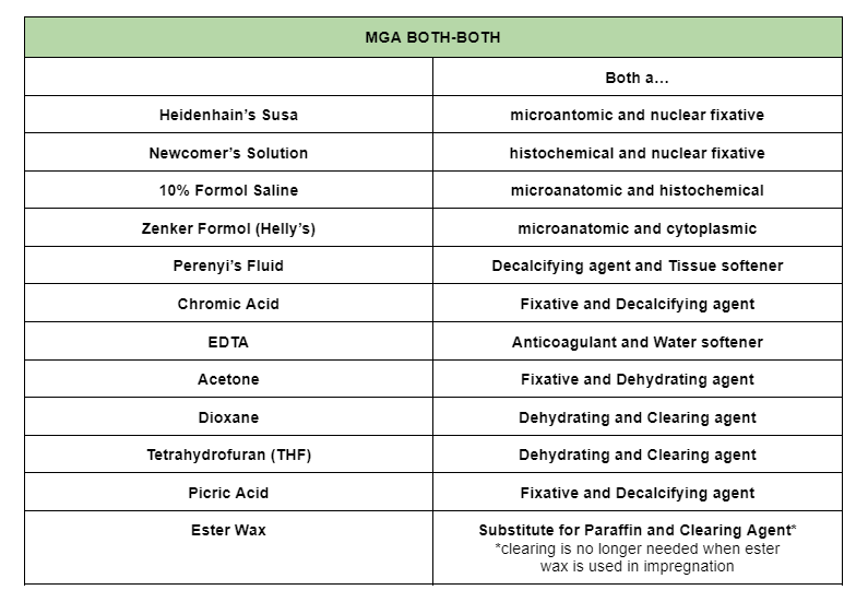 📌 Mga "BOTH BOTH" sa Histopath