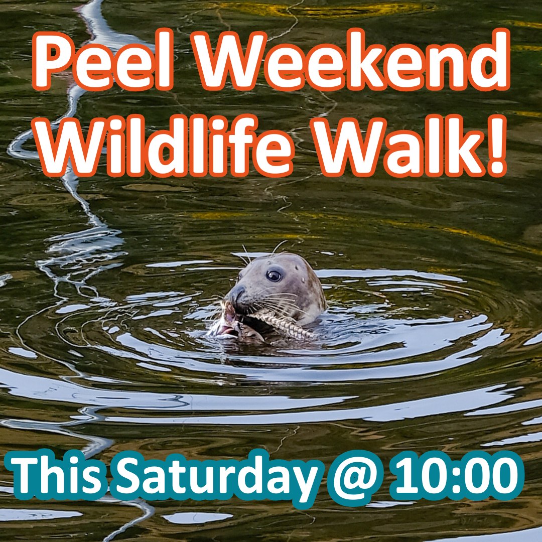 This Saturday we have an extra special Weekend Wildlife Walk with @MWT_Ranger and Earthscope. Join us for this winter wildlife walk around Peel (with a free hot chocolate at the end sponsored by Earthscope!) Meet outside the MWT Shop in Peel at 10:00am. #TeamWilder #isleofman