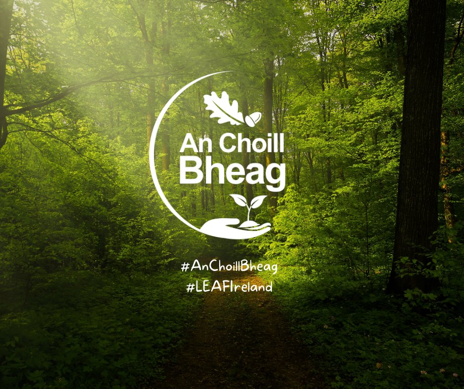 Coillte (@coilltenews) on Twitter photo Come grow with us!
Partnering with <a href="/LEAFIreland/">LEAF Ireland</a>, Coillte help to plant & grow An Choill Bheag (little woodland) creating small native woodland habitats as an educational &recreational resource for schools to learn about the many benefits of trees & forests 🌳
#ForestsForNature Come grow with us!
Partnering with <a href="/LEAFIreland/">LEAF Ireland</a>, Coillte help to plant & grow An Choill Bheag (little woodland) creating small native woodland habitats as an educational &recreational resource for schools to learn about the many benefits of trees & forests 🌳
#ForestsForNature