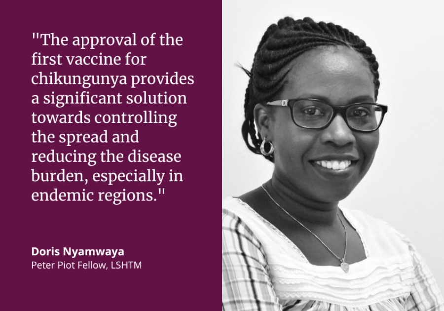 First chikungunya vaccine approved💉

LSHTM experts comment on news that first vaccine for #chikungunya, a deadly #mosquito-borne disease that has spread to 100+ countries globally, has been approved by <a href="/US_FDA/">U.S. FDA</a>🦟🌍

👉bit.ly/47rXAk7
