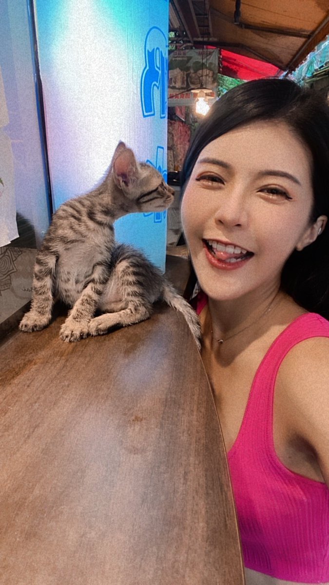 連小貓咪都會多看我一眼

你們會嗎(ㆁωㆁ*)