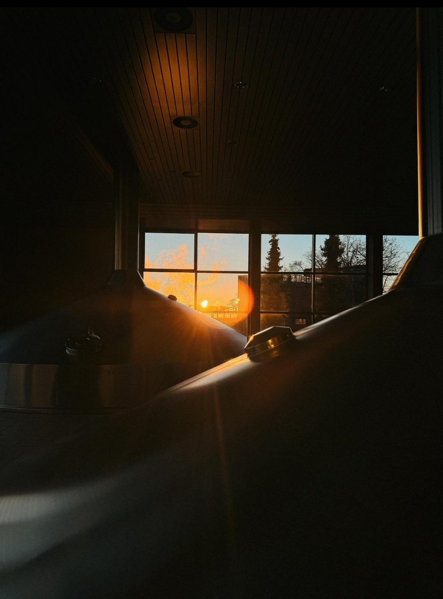 Sonnenuntergang im Fenster vom Sudhaus
Bilder sind vom Kollegen