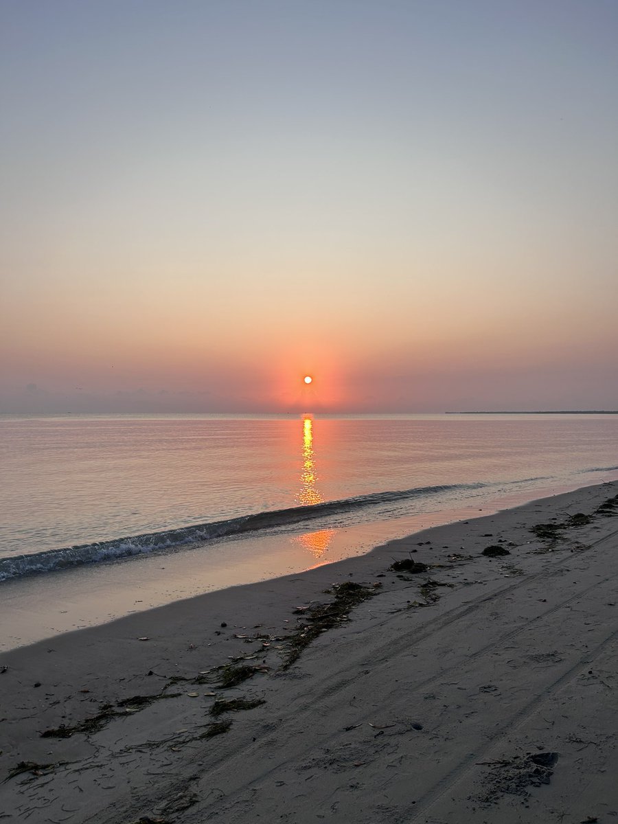 Ya casi nos hemos hecho con la semana… ¡Feliz jueves! ☺️