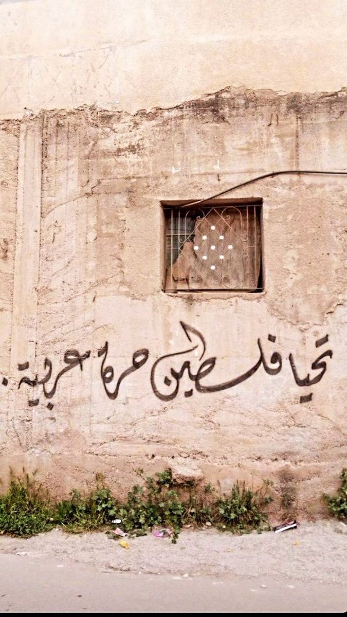Yoo368's tweet photo. @jacksonhinkle @netanyahu #FreePalestine https://t.co/ajpCcI18tY