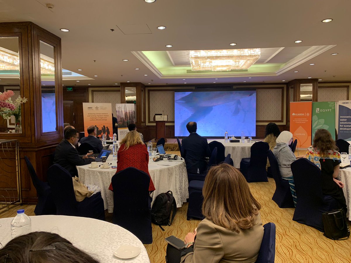 ICARDA's tweet photo. CGIAR MENA Hub Pre-COP28 expert dialogue holds today.We will be exploring actionable steps for comprehensive #climatesecurity assessments, policy integration, and climate finance for resilience in the MENA region.
⌛ Stay tuned for more updates and insights!
#CGIARMENA #PreCOP28 https://t.co/kiPhwH9ZN4