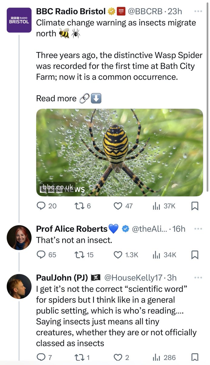 Prof Alice Roberts💙 tweet media