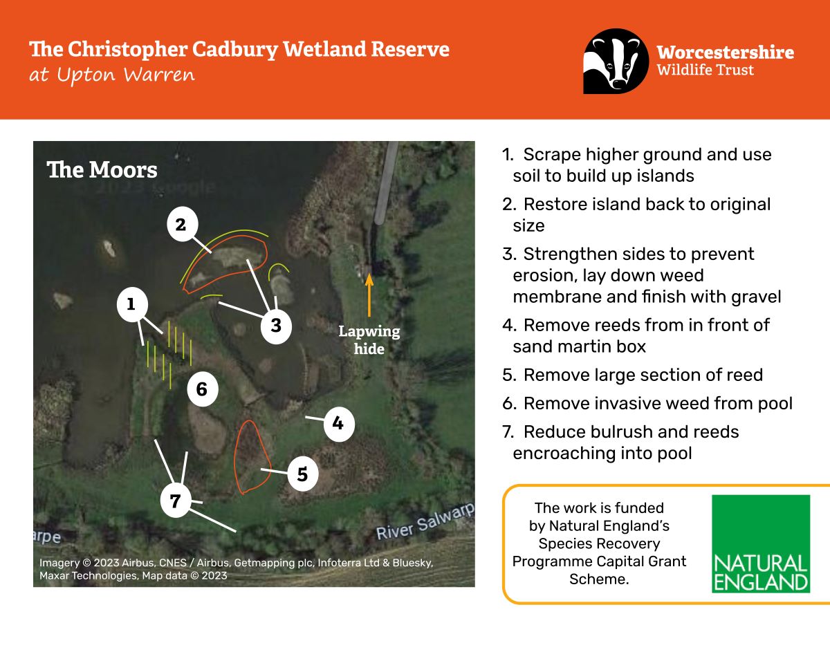 A new restoration project will soon begin at #UptonWarren! These improvements are possible through funding from @naturalengland and #SpeciesRecoveryProgramme. Work on The Moors will start on 27th Nov for two weeks - hides will remain open but there may be some disruption👇