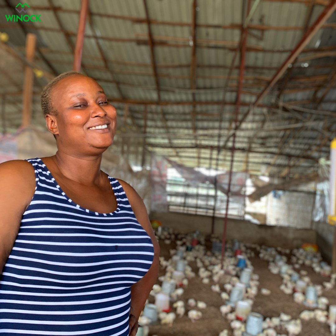WinockLimited1's tweet photo. Mrs. Vivian, a determined and passionate poultry farmer in Lugbe, Abuja expanded her business with Winock Lending Low interest loan.
#winocklendingcustomer #CustomerExperience #abujasmallbusinessloans #48hoursloan
#mribu #Donjazzy #NYSC #GenZBaddie #Akute #SouthAfrican #Amapiano https://t.co/bXo318iQgc